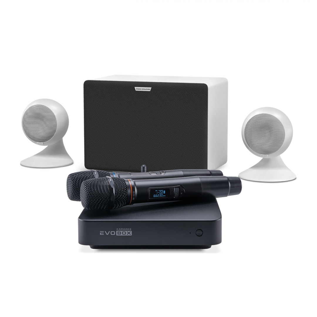 караоке-комплект EVOBOX Classic + EvoSound Sphere 2.1 в Ненецком АО