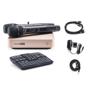 EVOBOX Classic караоке-система для дома в Ненецком АО