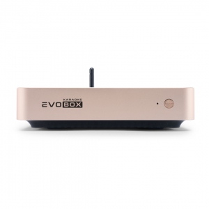EVOBOX Plus караоке-система для дома в Ненецком АО