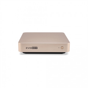 EVOBOX с микрофонами в Ненецком АО